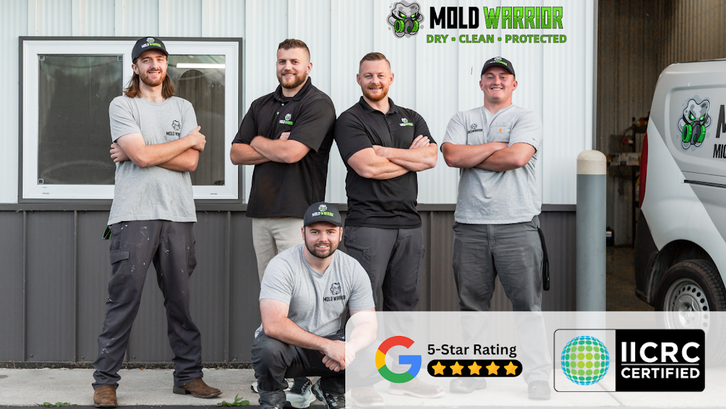 Mold Warrior photo