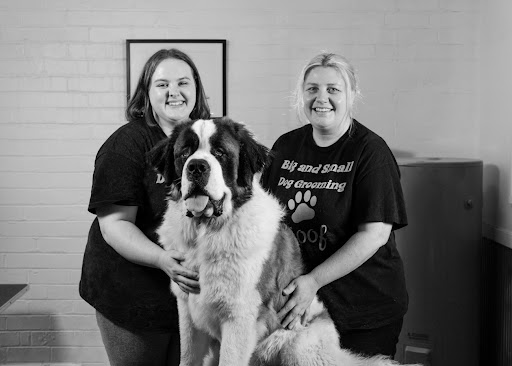 Big And Small Dog Grooming - Thumbnail