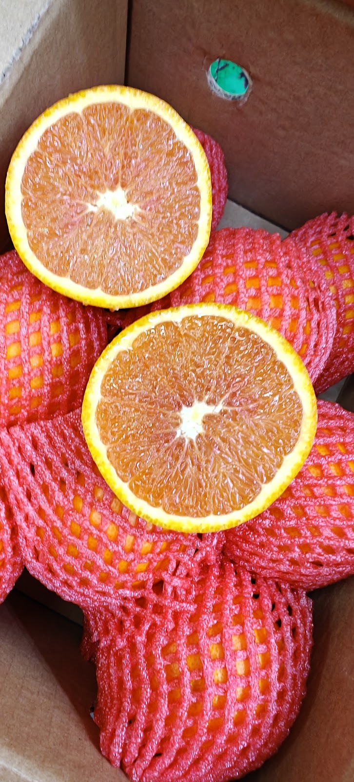 Al Noor fruits and vegetable Tr. - صورة 2