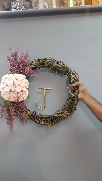 Photos of July Flowers