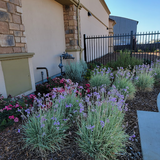 Educational Employees Credit Union - EECU - Reedley Branch Gallery - United States