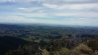 Photos of Ruahine Forest Park