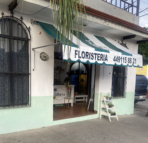 adhara florería