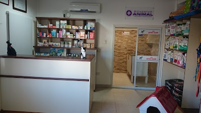 Photos of Veterinaria Bienestar Animal
