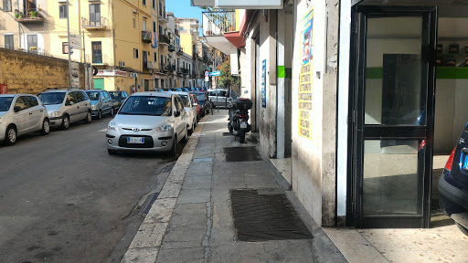 Piazza Vincenzo Logo