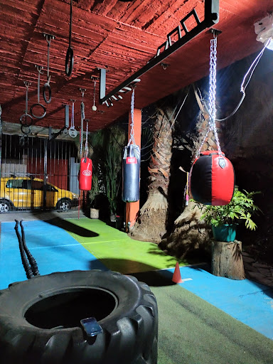 HIGH PERFORMANCE CENTER . ARENA SPARTAN CROSSFIT - Thumbnail