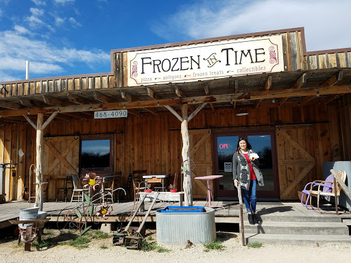 Frozen in Time - Visual