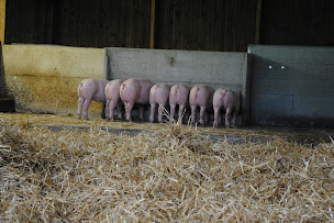 Photo n°5 de GAEC DE LA FERME DE BRENATURE à Saint-Servant (Charcuterie)