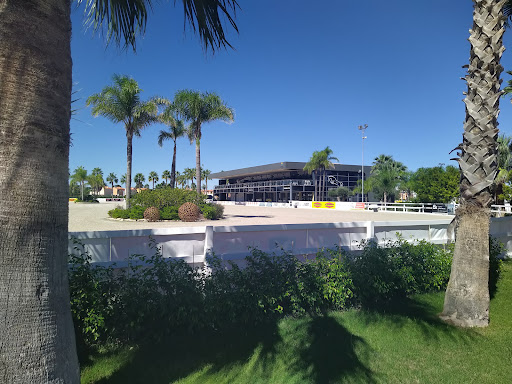 Centro Ecuestre Oliva Nova (MET) - Thumbnail