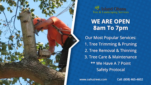 Island Ohana Tree & Landscaping Services 1050 Queen St # 100, Honolulu, HI 96814