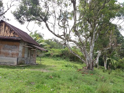 Photos of Saba Lemus Tukka