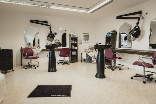 Salon Wolf - Visual