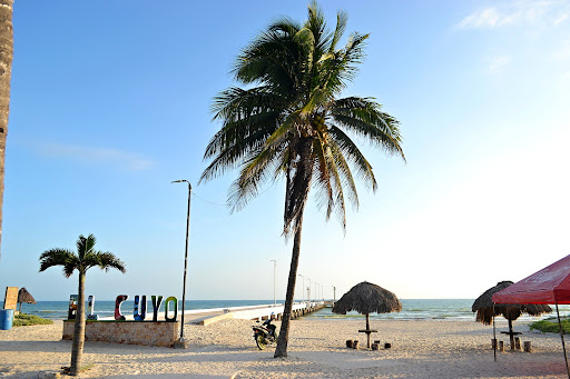 Letras El Cuyo - Thumbnail