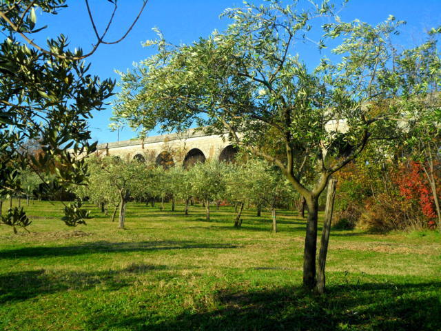 Agriturismo Radovič