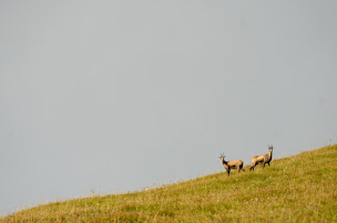 Photo n°10 de Atypique Rando Bauges à 0684517017 (Club de randonnée)