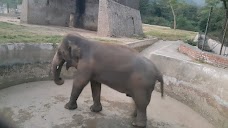 Zoo rawalpindi