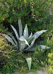 Photo n°6 de Chez Cécile et Jean no à Gan (Chambre d'hôtes)