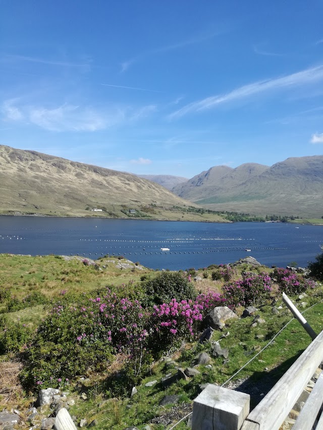 Killary Harbour