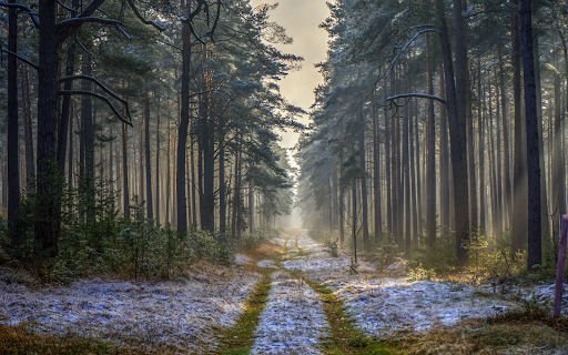 Parkplatz Nemitzer Heide - Thumbnail