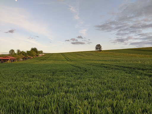 Gemeinde Krebeck