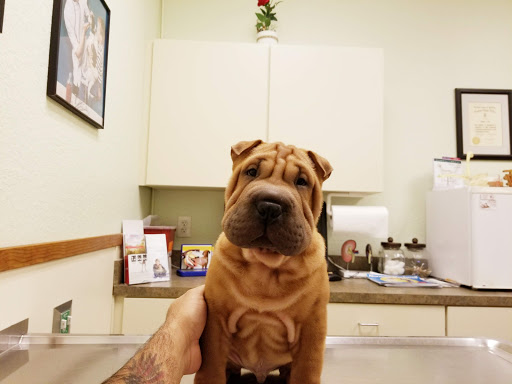 Fox & Friends Animal Hospital - Thumbnail