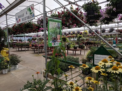 K Drive Greenhouse