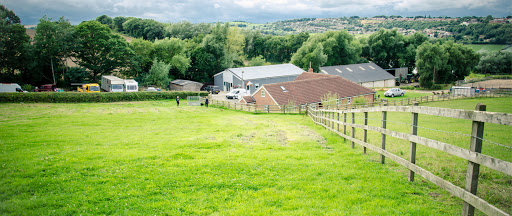 Waggin Tails Boarding Kennels Gallery - United Kingdom
