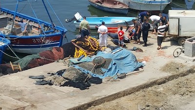 Photos of Port de Zemmouri El Bahri