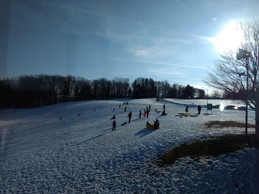 Elma Meadows Park - Thumbnail