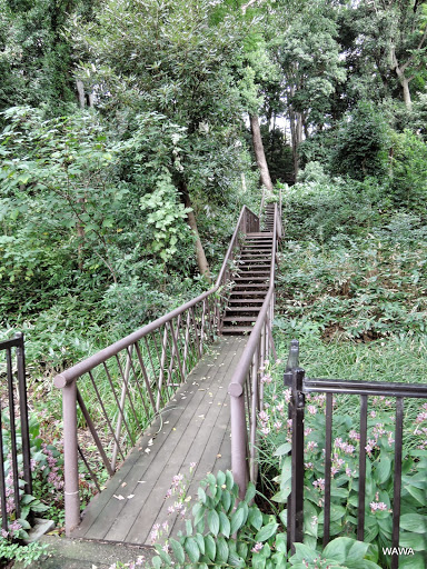 Kaminoge Natural Park Setagaya Destimap Destinations On Map