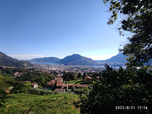 Bresanella - Visual