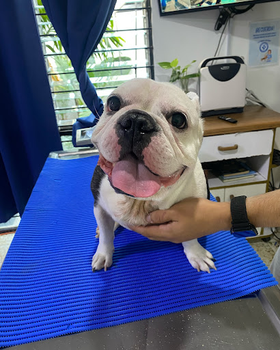 Central Médica Veterinaria-- Hospital Veterinario de Especialidades