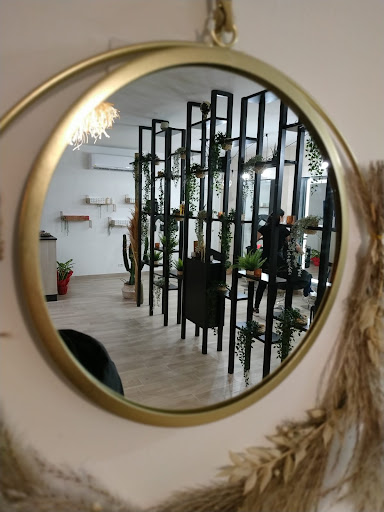 Hipolita - Visual
