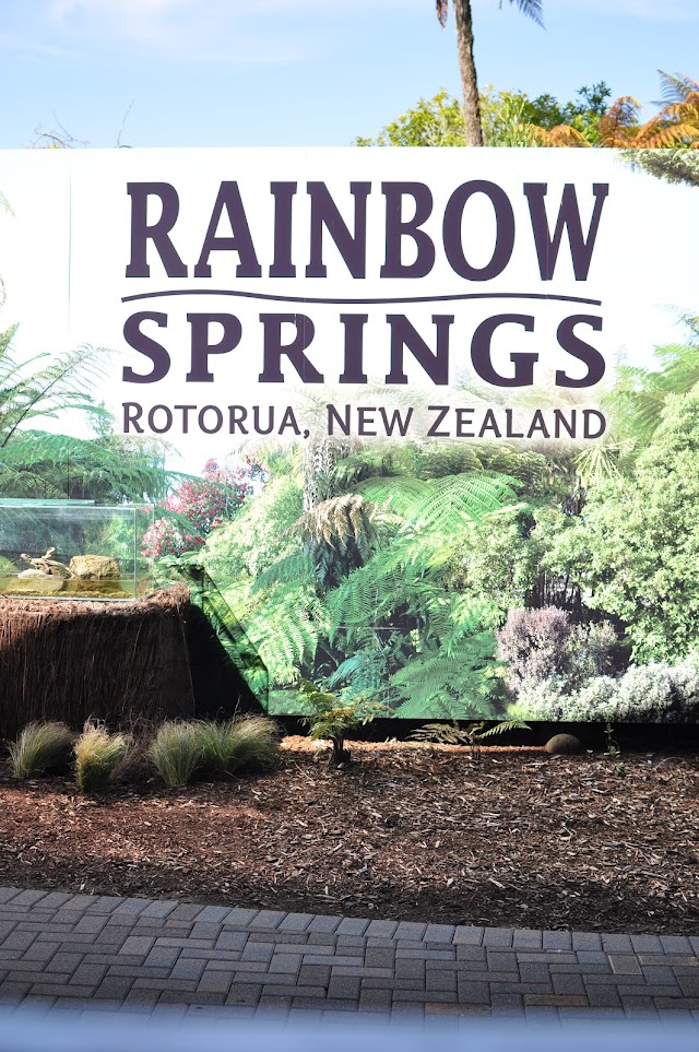 Rainbow Springs