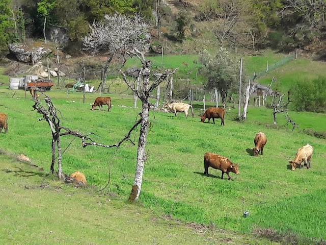 Peneda-Gerês National Park