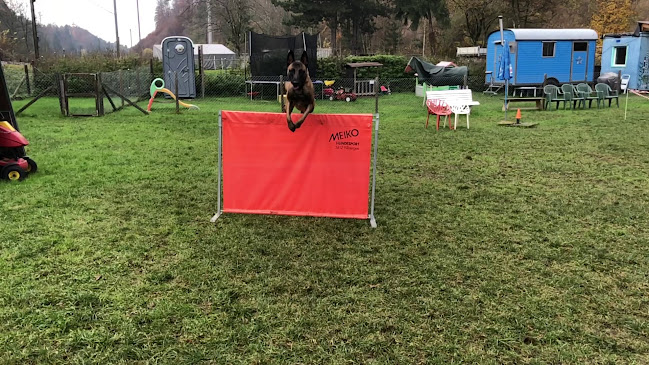 Rezensionen über Hundetherapie und -schule Bodmer in Freienbach - Hundeschule