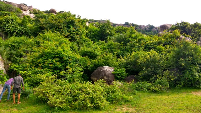 Barabar Caves