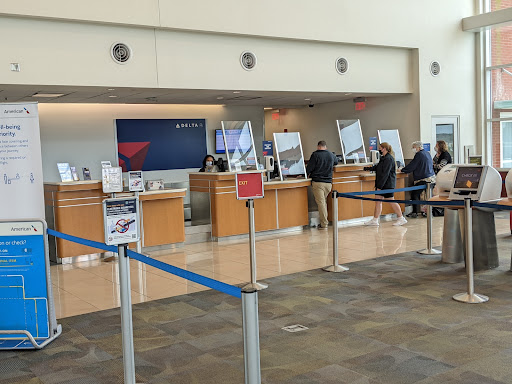 Delta Check-in