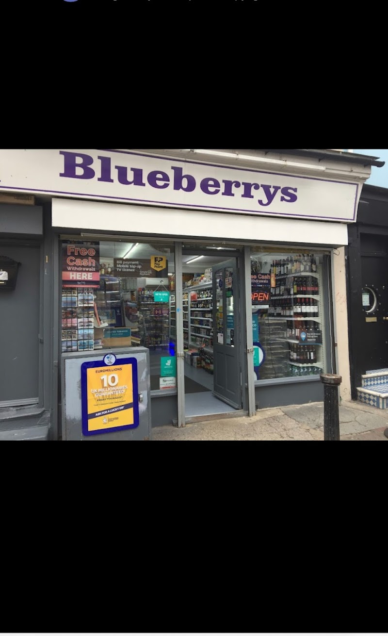 Blueberrys photo 3