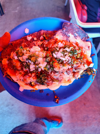 CARNITAS "PAME" Gallery - Mexico
