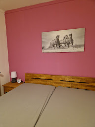 Photo n°12 de Chevaux au soleil à Fresse (Hostel)