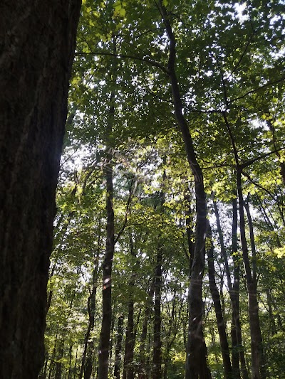 Raccoon Creek State Park Campground