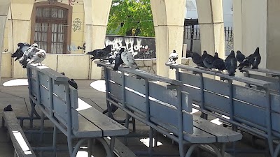 Photos of Iglesia y Gruta de Lourdes