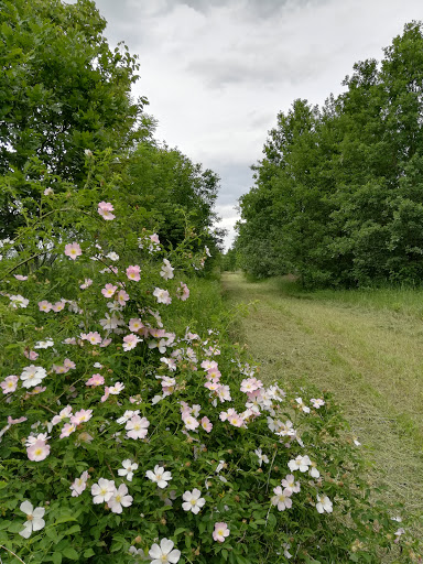 OASI SPARADELLA - Thumbnail