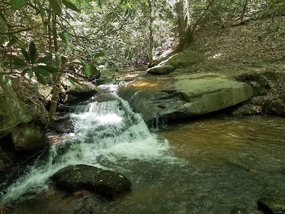 Poinsett Bridge Heritage Preserve