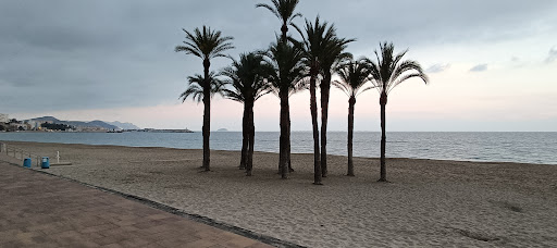 El Maror - Visual