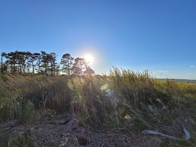 Ferry Point Park