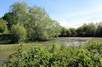 Établissement Vandaële Maraîcher Bio à Saint-Vigor-le-Grand