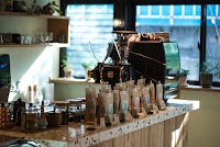 See The Forest Coffee Roastery & Cafe