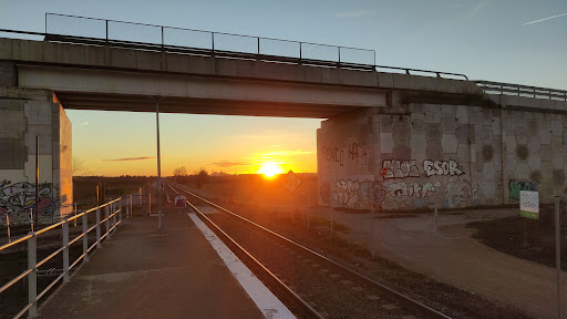 Alcoletge - Visual